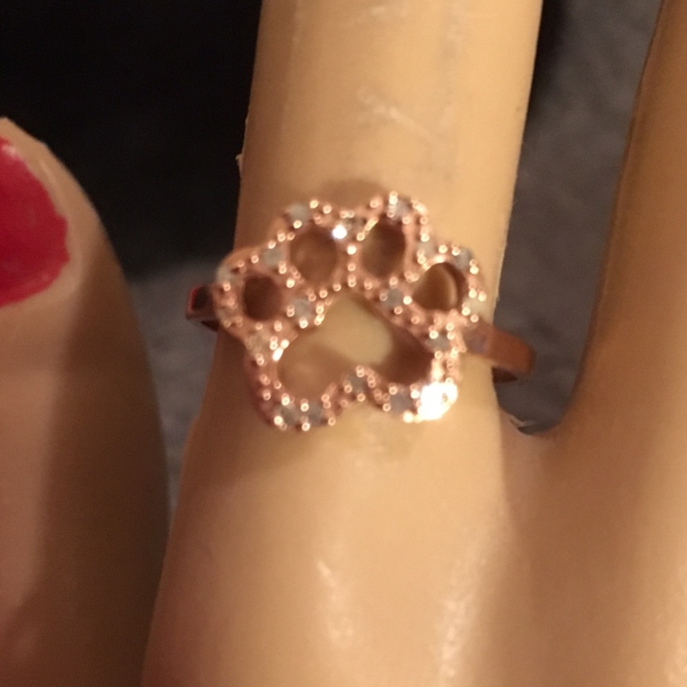 Diamond Pet Paw🐾